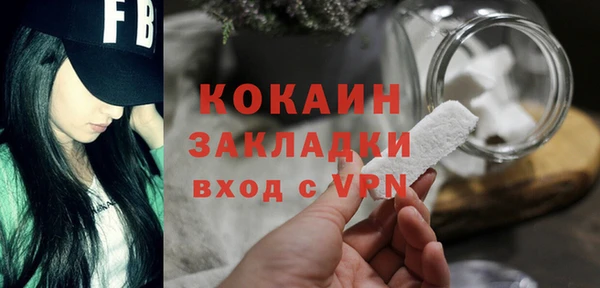индика Семилуки