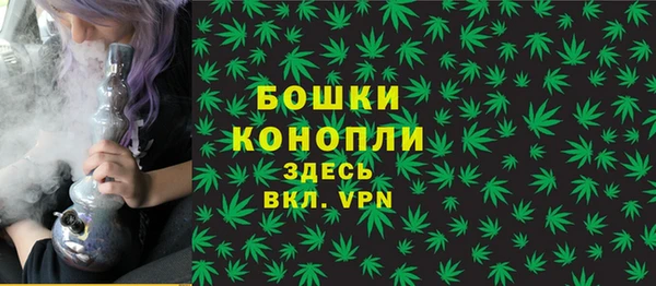 молекула духа Бронницы