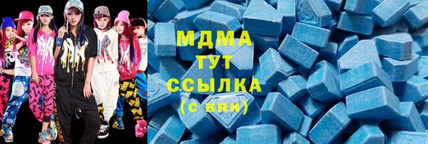 гидра Богородицк