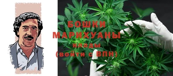 гидра Богородицк
