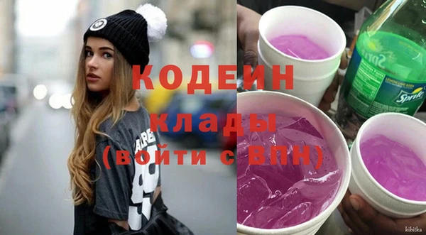 молекула духа Бронницы