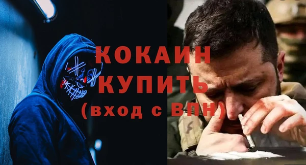 гидра Богородицк