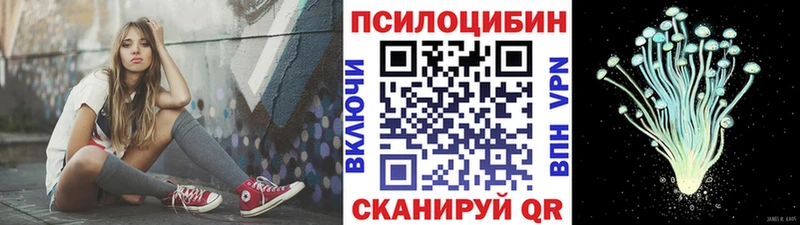 Галлюциногенные грибы Cubensis hydra онион Мурино где купить наркотик