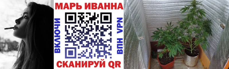 купить наркотик  Мурино  блэк спрут как войти  Канабис LSD WEED 